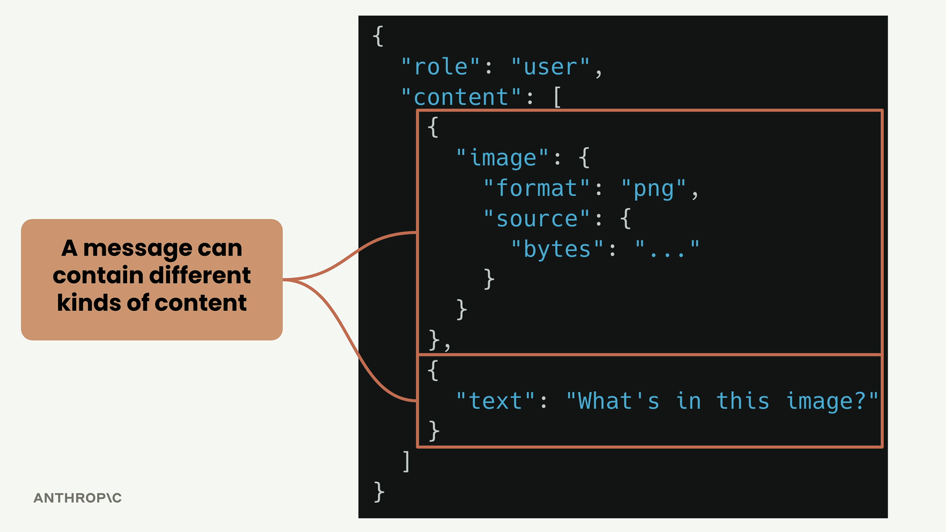 A user message whose content list holds an image block, format png with source bytes, then the text "What's in this image?".