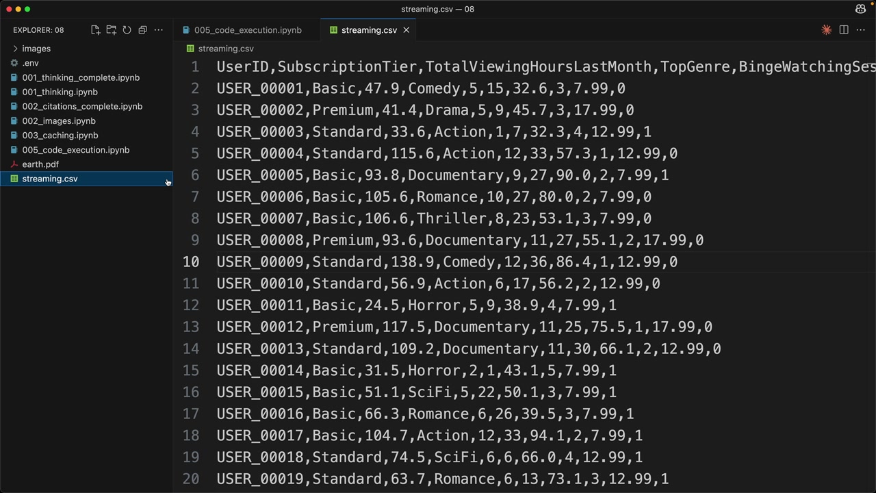 streaming.csv file with columns such as UserID, SubscriptionTier and TotalViewingHoursLastMonth, and rows from USER_00001.