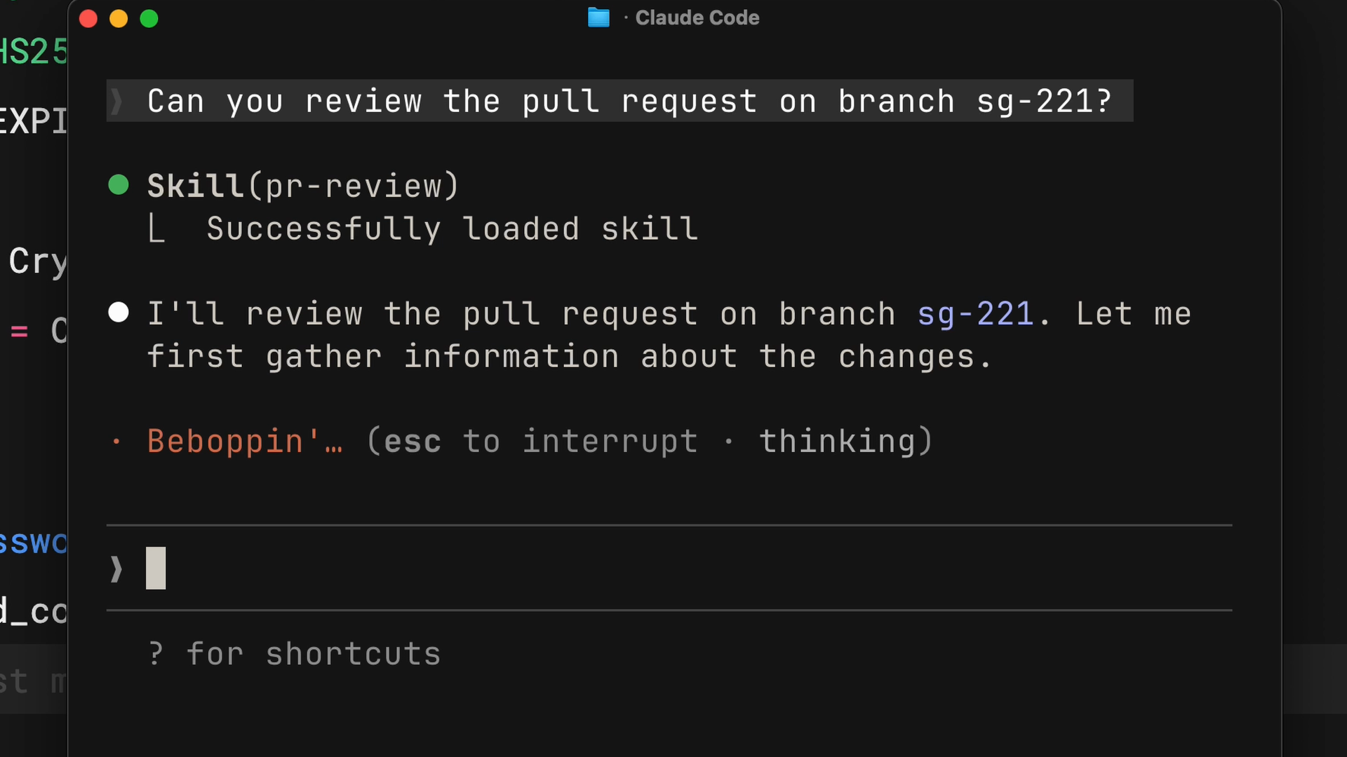 After a request to review the pull request on branch sg-221, a Skill pr-review line reads "Successfully loaded skill".