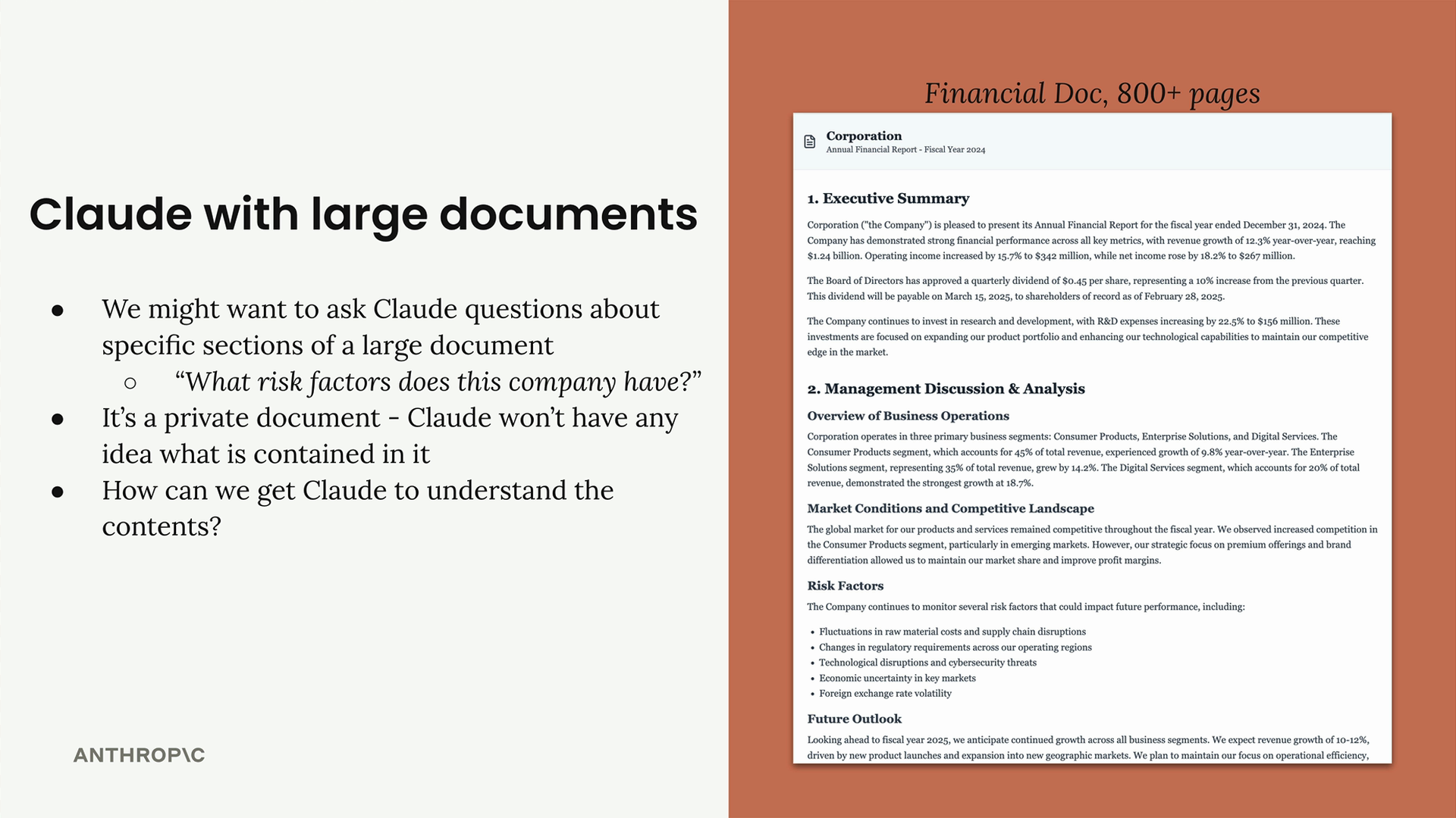 A private 800 plus page financial report with sections such as Executive Summary, Risk Factors and Future Outlook.