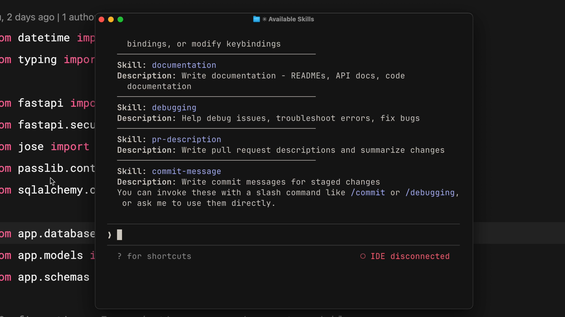 Claude Code Available Skills output, with skills such as "documentation", "debugging", pr-description and commit-message.